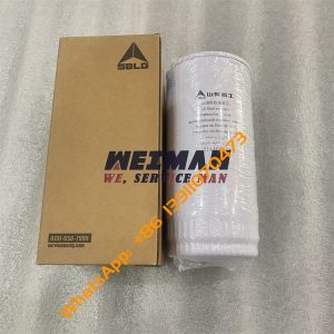 SDLG Excavator Oil Filter 14400779