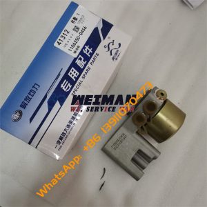 SDLG Wheel Loader LG958L Engine Spare Parts Fuel Pump 4110001007017