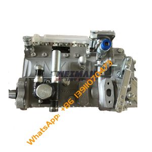 SDLG LG936 Engine Injection Pump 4110001525046