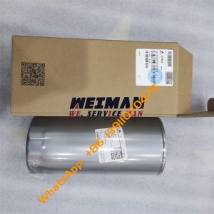 SDLG L958F Oil Filter 4110002354001