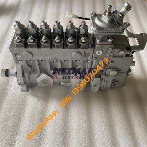 4110002373013 Injection Pump SDLG G9180 G9190