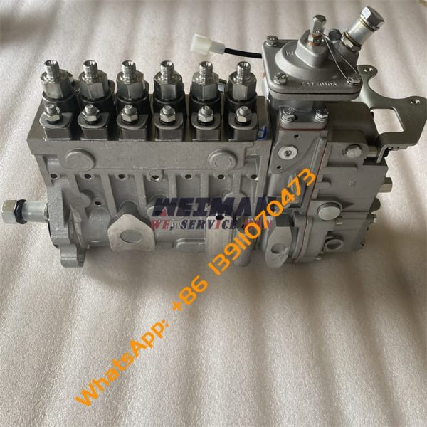 4110002373013 Injection Pump SDLG G9180 G9190