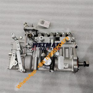 4110002785013 Injection Pump SDLG