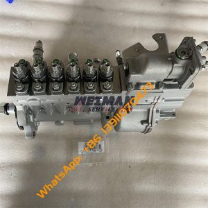 SDLG Wheel Loader Injection Pump 4110002834002