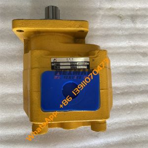 SDLG LG956 Gear Pump 4120000401