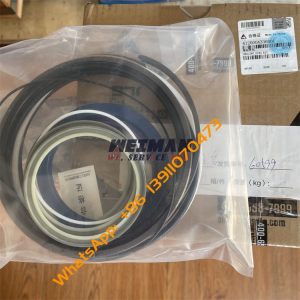 SDLG Sealing Ring Kit 4120004336001