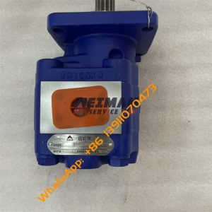 SDLG Gear Pump 4120004825