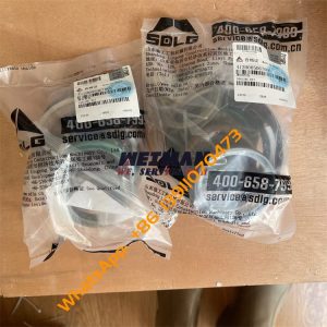 SDLG Sealing ring Kit 4120005067001