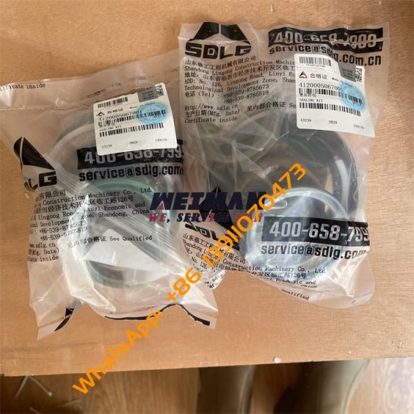SDLG Sealing ring Kit 4120005067001