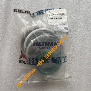 SDLG Sealing Ring Kit 4120005068101