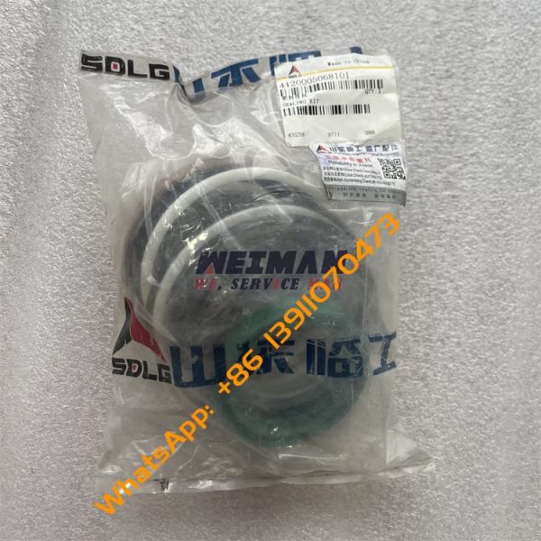 SDLG Sealing Ring Kit 4120005068101