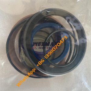 4120006612011 Sealing Ring Kit SDLG