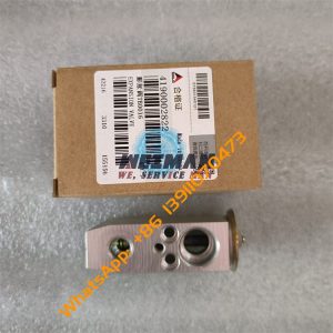 SDLG Expansion Valve 4190002822