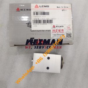 SDLG LGMG Truck Expansion Valve 4190703959002