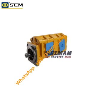 SEM 816D Working gear pump 5238461 CBGQ2100/2063