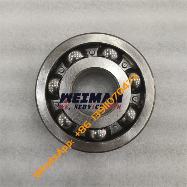 Bearing 5533503 SEM