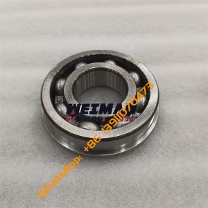 5533507 Bearing SEM