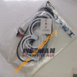 SDLG LG956L Wheel Loader Spare Part Gear Pump Sealing Ring Kit 4120001715020