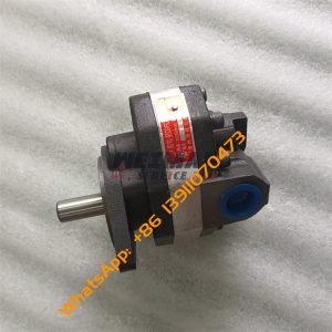 SEM616B SEM618B Gear Pump W030123800