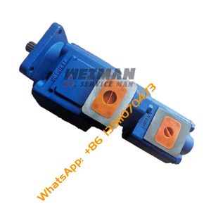 SDLG 4120006298 L968F Working Pump L968F Gear Pump 4120006298