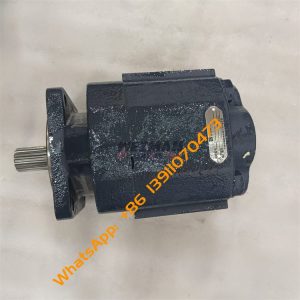 Gear Pump GP 5337993 For SEM Wheel Loader