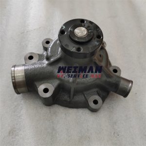 1000054019 Water Pump Weichai brand