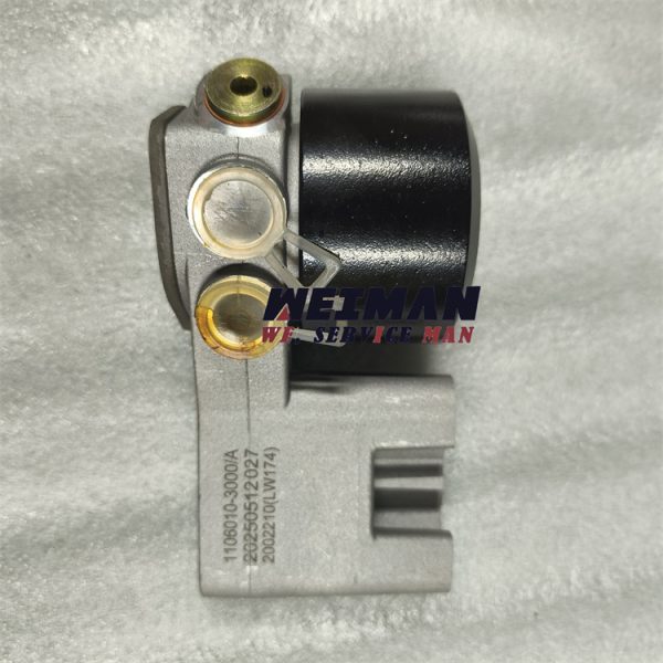 SDLG LG958F Original Fuel Pump 4110003164126