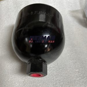 Genuine L956F Accumulator 4120002274