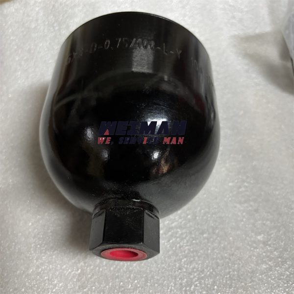 Genuine L956F Accumulator 4120002274