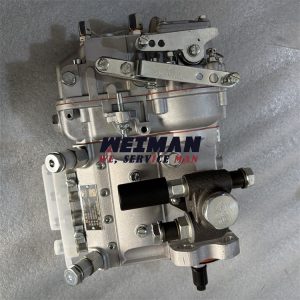SDLG Backhoe B877F Engine Injection Pump 4110003783014